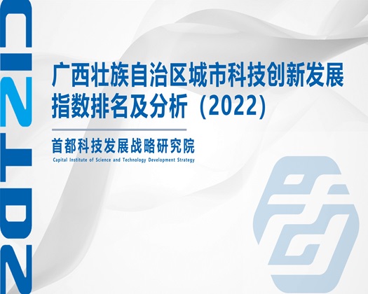 大屌插两少妇内射【成果发布】广西壮族自治区城市科技创新发展指数排名及分析（2022）